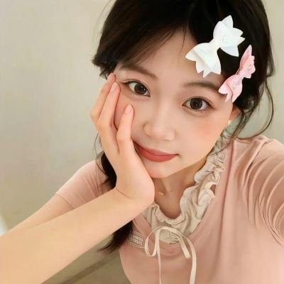 驯鹿大冒险：超越北极光